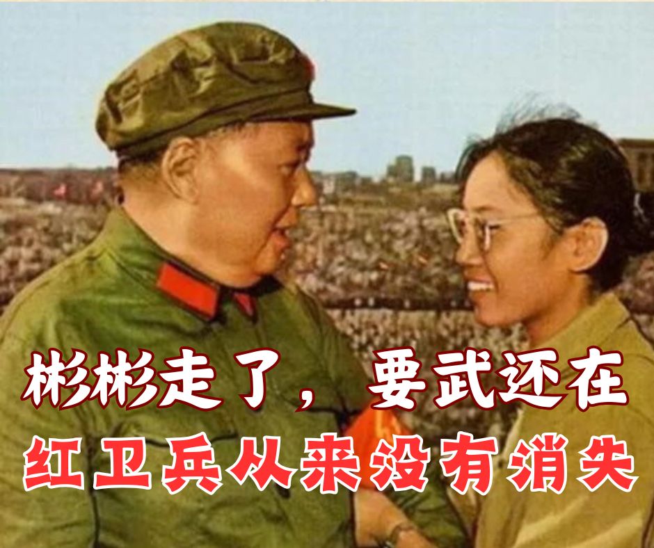 彬彬走了，要武还在：红卫兵从来没有消失