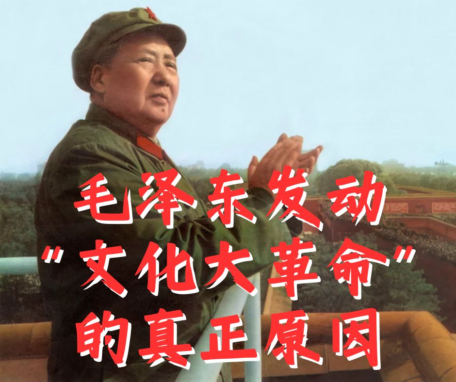 毛泽东发动“文化大革命”的真正原因