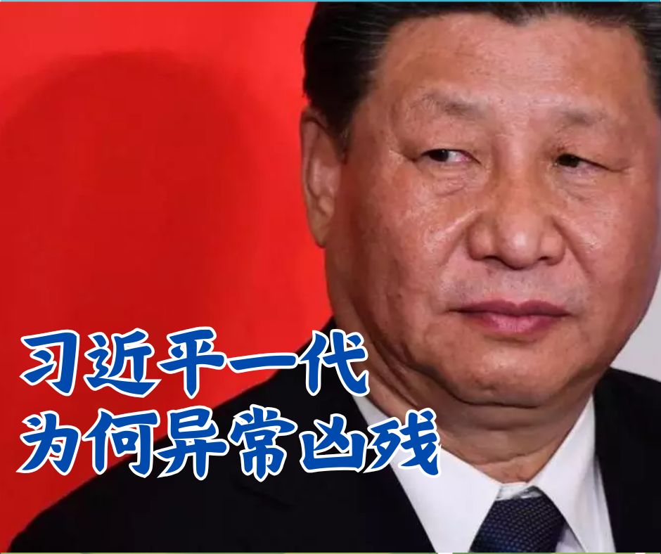 习近平一代为何异常凶残