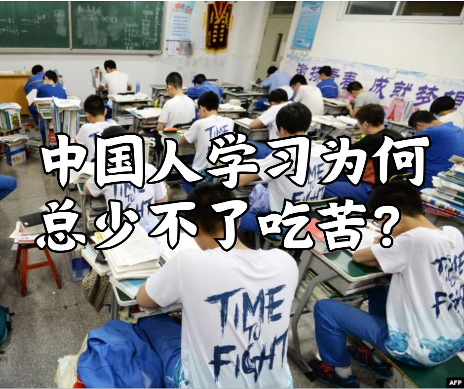 中国人学习为何总少不了吃苦？