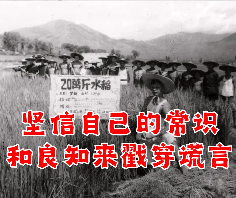 坚信自己的常识和良知来戳穿谎言