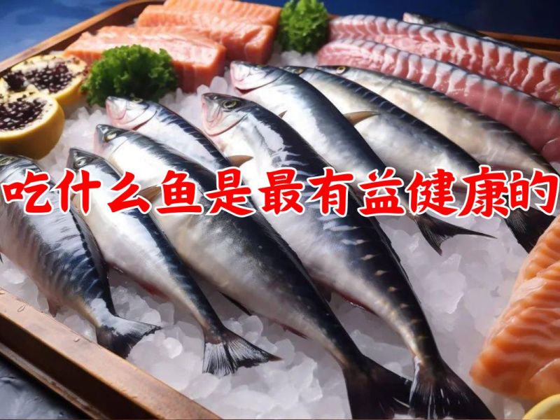 吃什么鱼是最有益健康的
