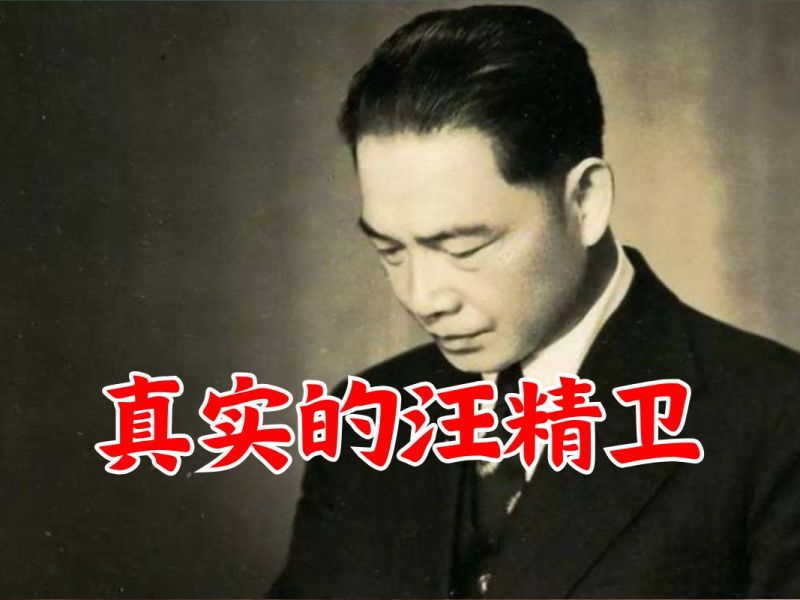 真实的汪精卫