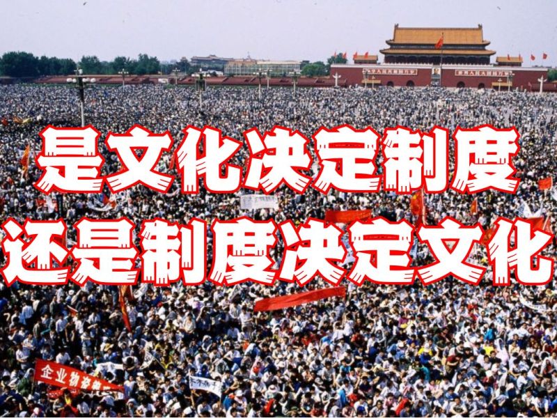 是文化决定制度，还是制度决定文化？