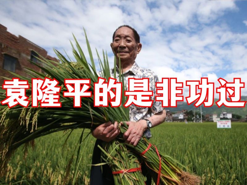 袁隆平的是非功过