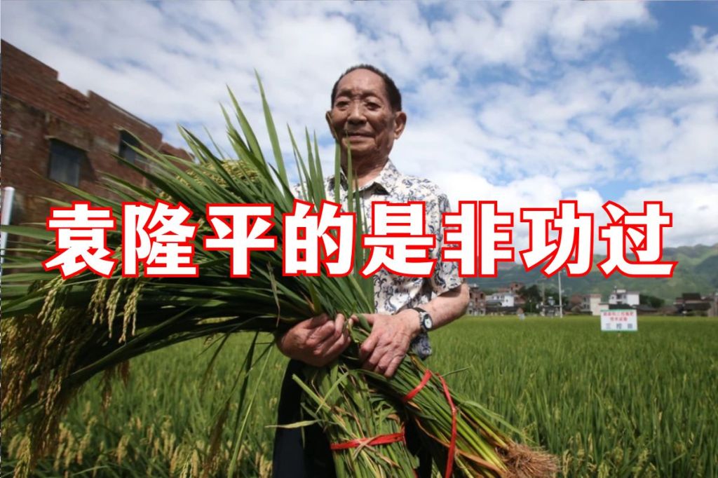 袁隆平的是非功过