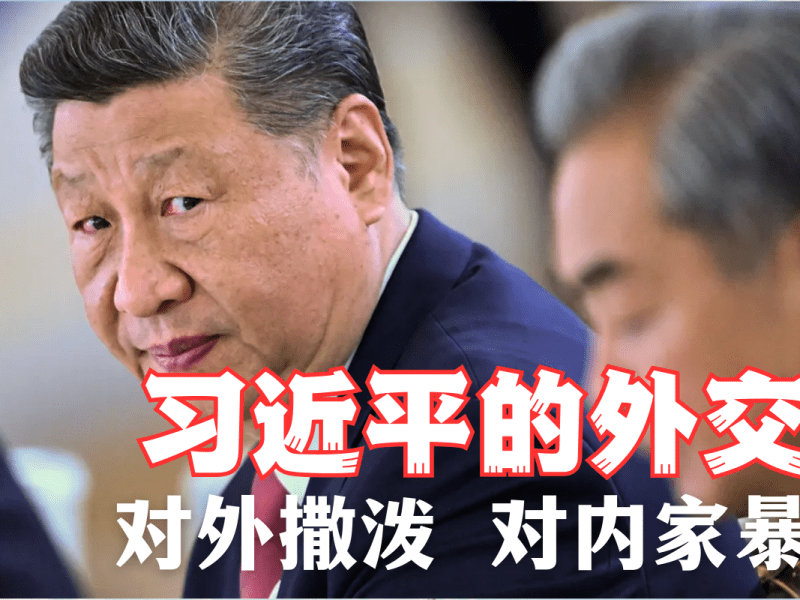 习近平外交：对外撒泼，对内家暴