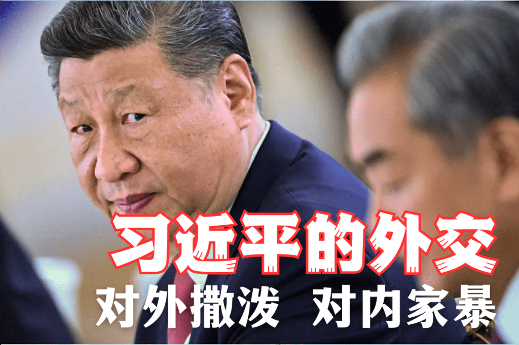 习近平外交：对外撒泼，对内家暴
